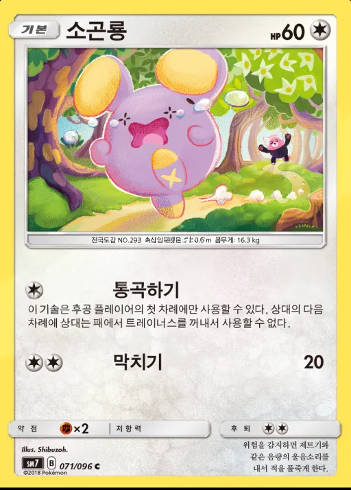 Front of 소곤룡 71, 창공의 카리스마 Korean