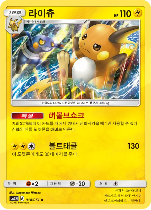 Front of 라이츄 14, 빛을 삼킨 어둠 Korean