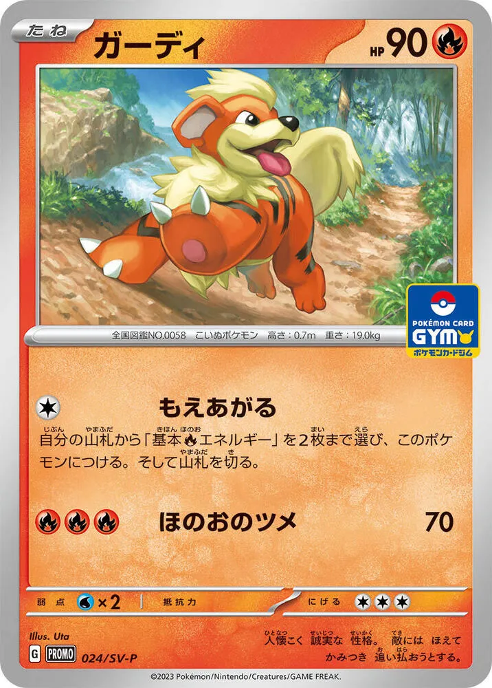 Front of Growlithe 24, SV-Pプロモーションカード Japanese