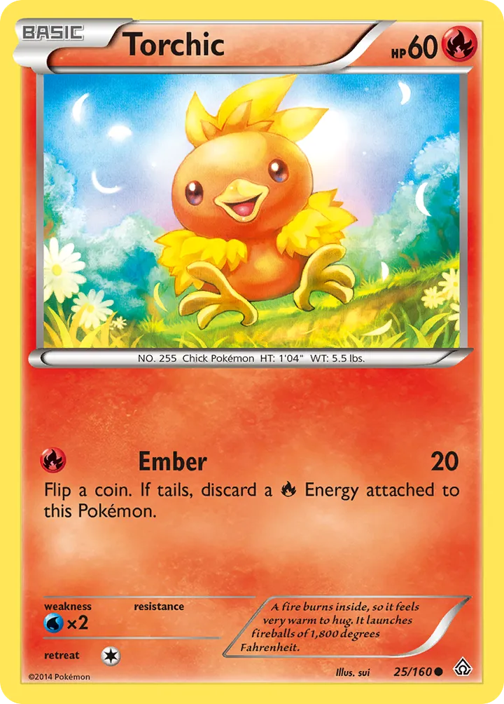 XY—Primal Clash 영어판 Torchic 25 카드 앞면