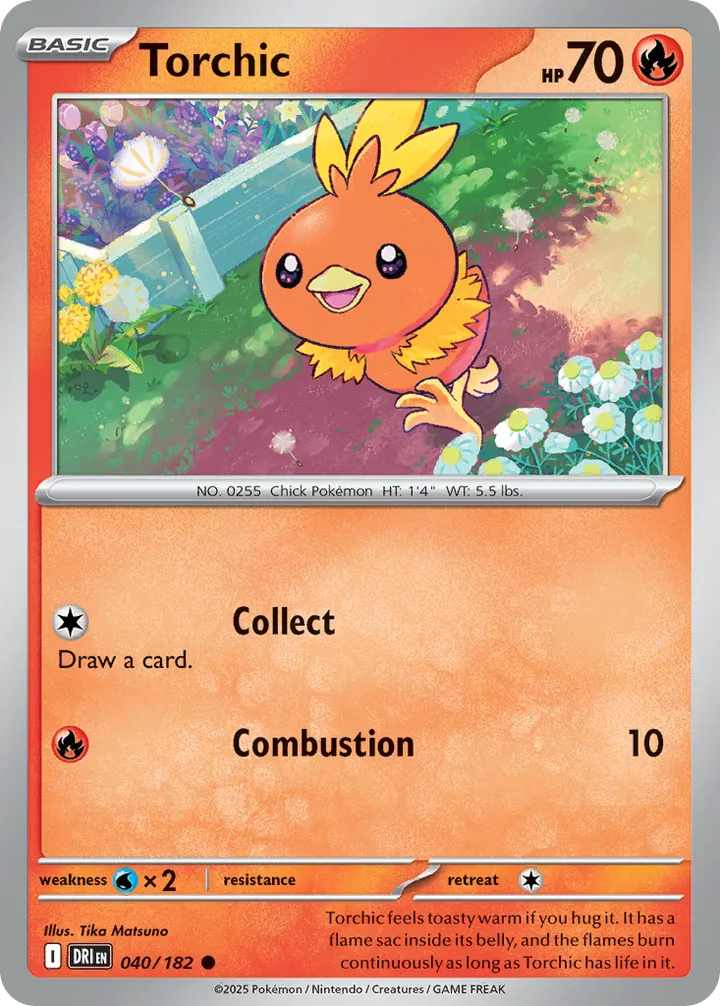 Scarlet & Violet—Destined Rivals 영어판 Torchic 40 카드 앞면