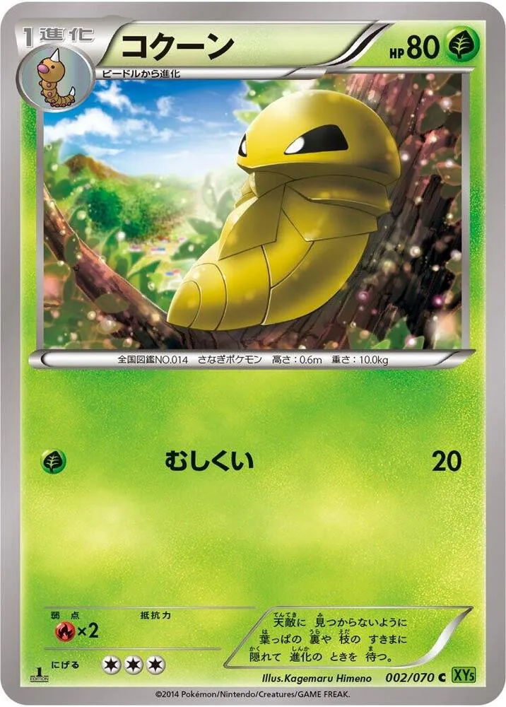 Front of Kakuna 2, タイダルストーム Japanese