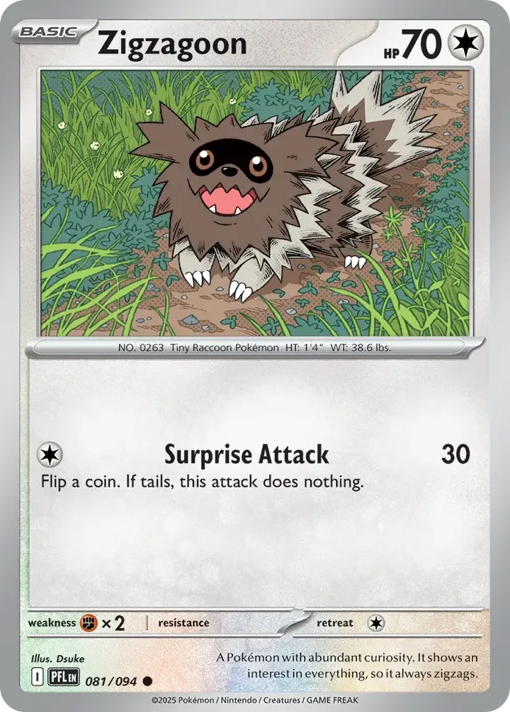 Mega Evolution—Phantasmal Flames 영어판 Zigzagoon 81 카드 앞면