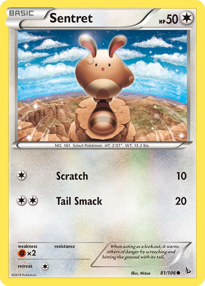 XY—Flashfire 英語版 Sentret 81 カード表面