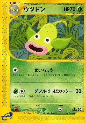 Front of Weepinbell 9, 海からの風 Japanese