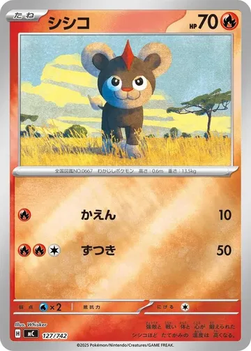 シシコ 127 · ミラー ¥1,000