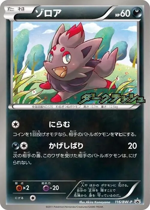 Front of Zorua 116, BW-Pプロモーションカード Japanese