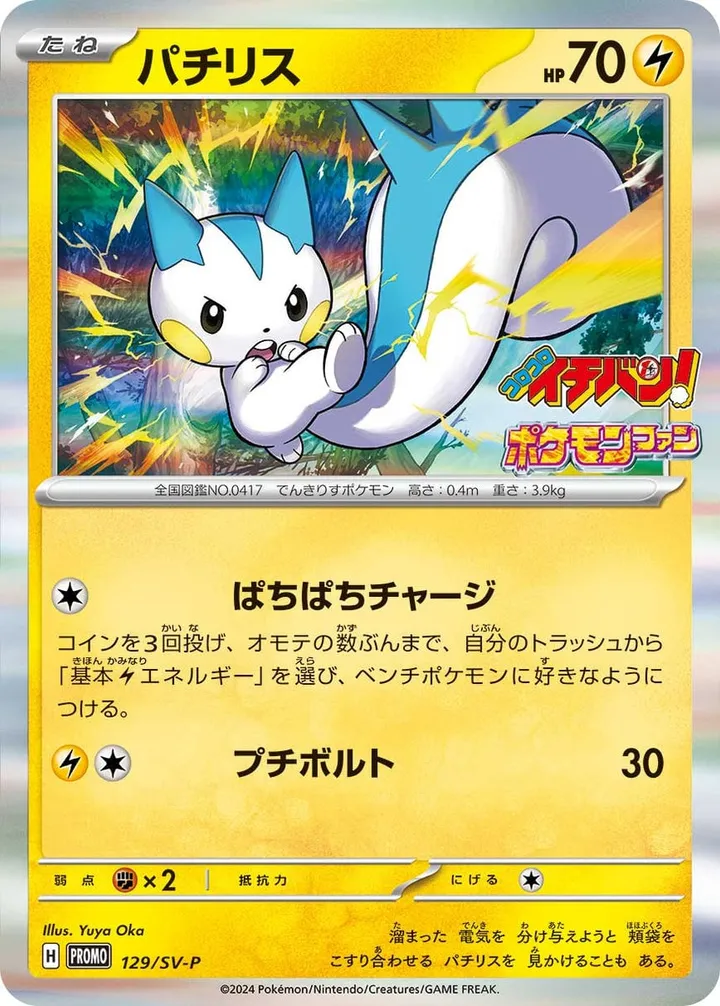 Front of Pachirisu 129, SV-Pプロモーションカード Japanese