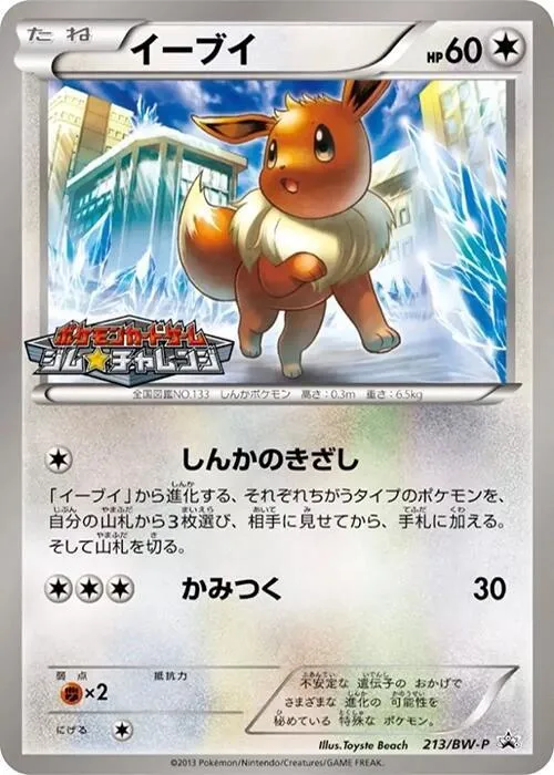 Front of Eevee 213, BW-Pプロモーションカード Japanese