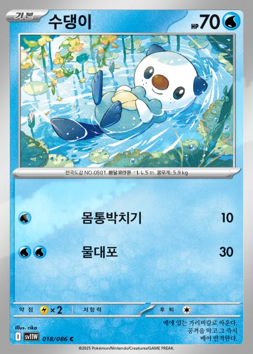 Front of 수댕이 18, 화이트플레어 Korean