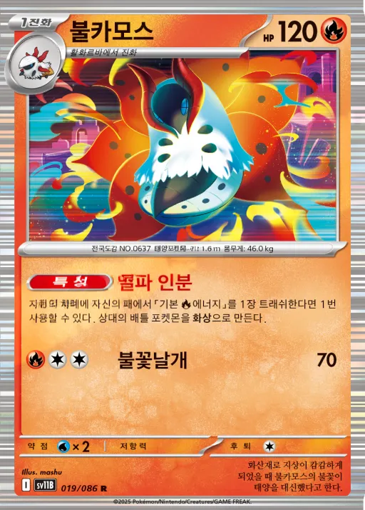 블랙볼트 韓国語版 불카모스 19 カード表面