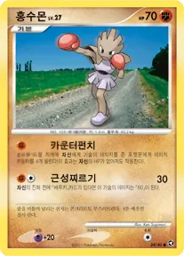 호수의 기적 韓国語版 홍수몬 24 カード表面
