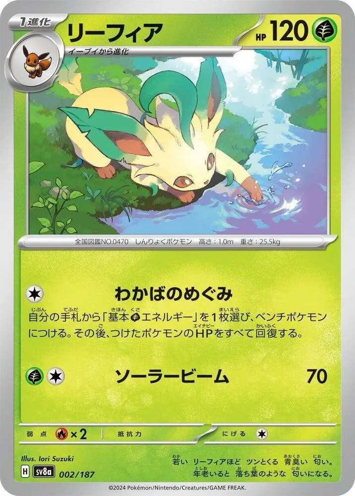 Front of Leafeon 2, テラスタルフェスex Japanese