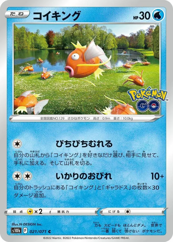 Front of Magikarp 21, Pokémon GO Japanese