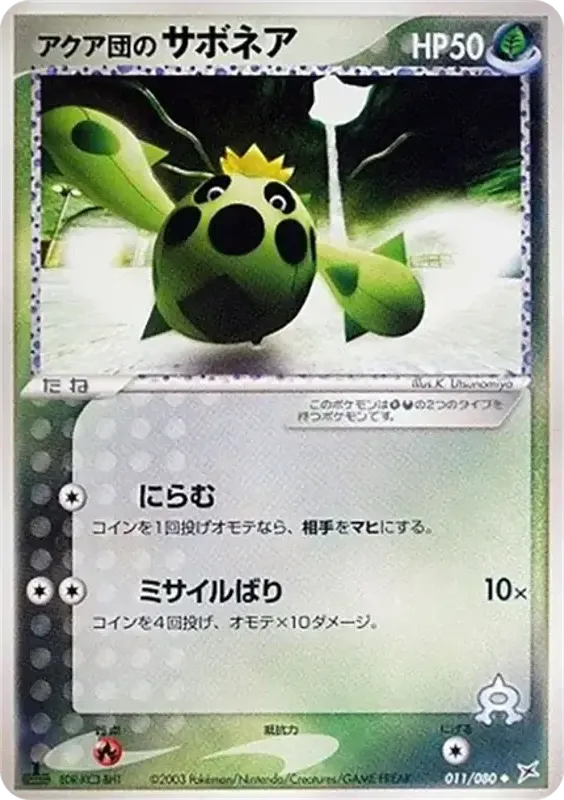 Front of Team Aqua's Cacnea 11, マグマVSアクア ふたつの野望 Japanese