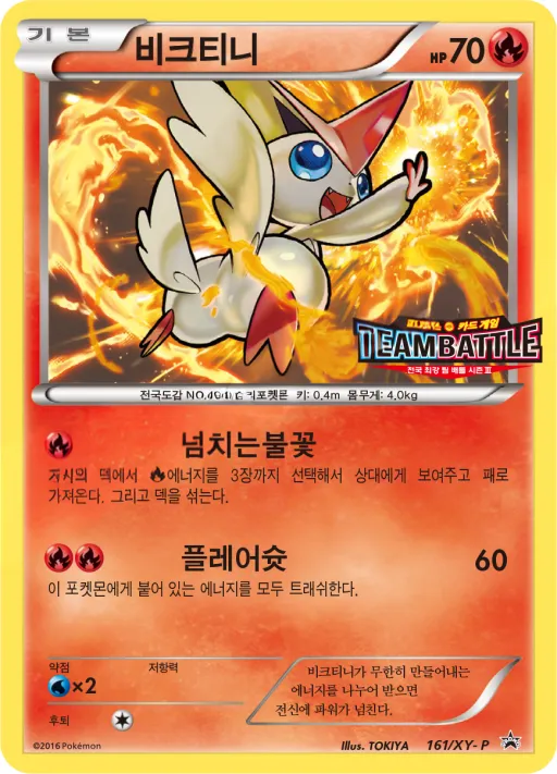 Front of 비크티니 161, XY 프로모 카드 Korean