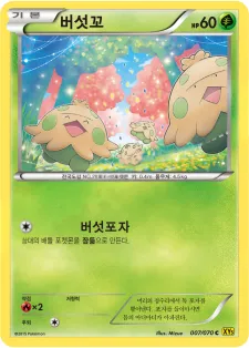 Front of 버섯꼬 7, 가이아 볼케이노 Korean