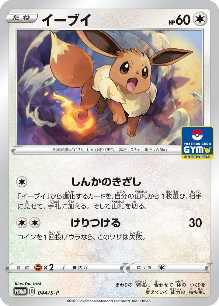 Front of Eevee 44, S-Pプロモーションカード Japanese
