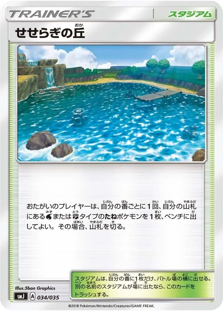 Front of Brooklet Hill 34, プレミアムトレーナーボックス「TAG TEAM GX」 Japanese