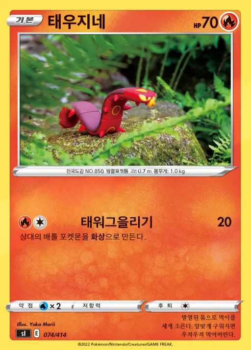 Front of 태우지네 74, 소드&실드 「스타트 덱 100」 Korean