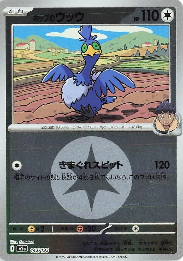Front of Hop's Cramorant (Energy Symbol Pattern) 143, MEGAドリームex Japanese