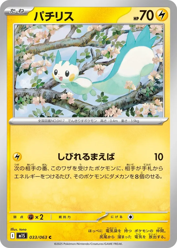 Front of Pachirisu 33, メガシンフォニア Japanese