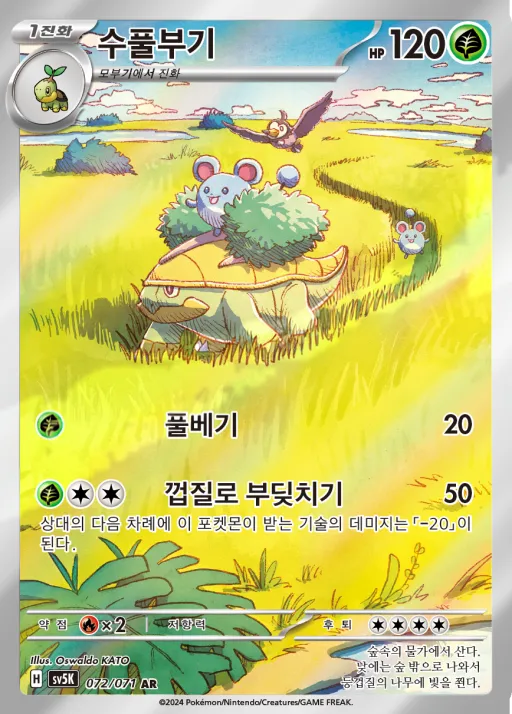 Front of 수풀부기 72, 와일드포스 Korean