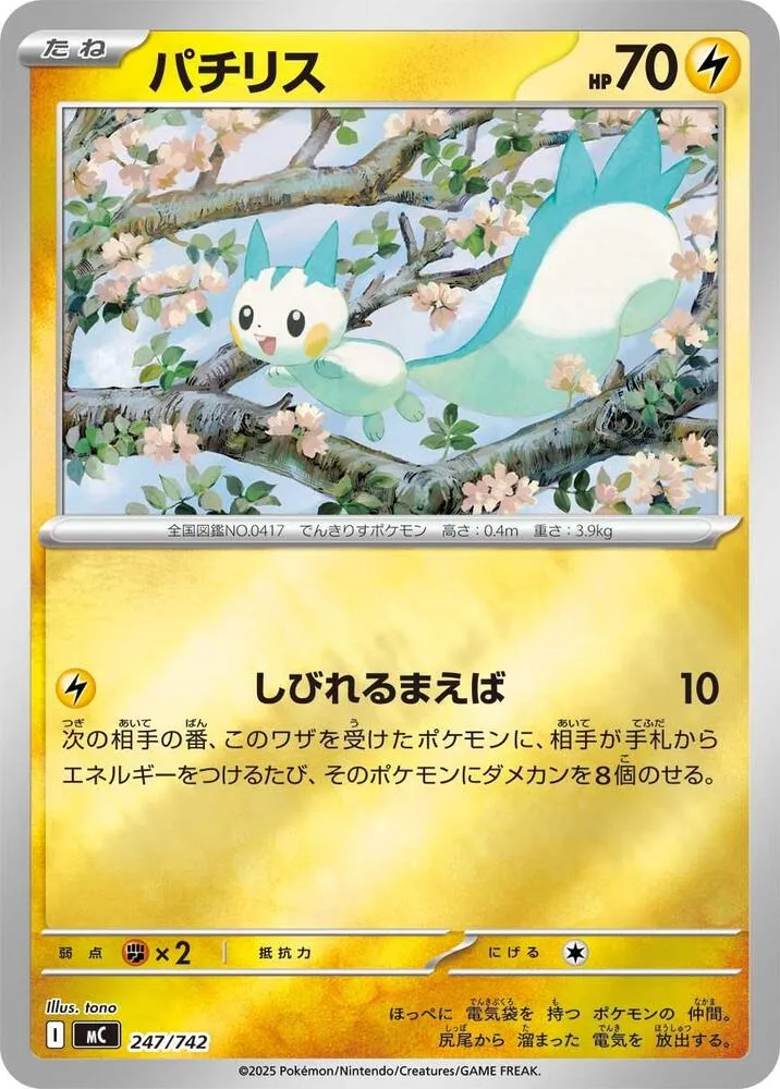 Front of Pachirisu 247, スタートデッキ100 バトルコレクション Japanese