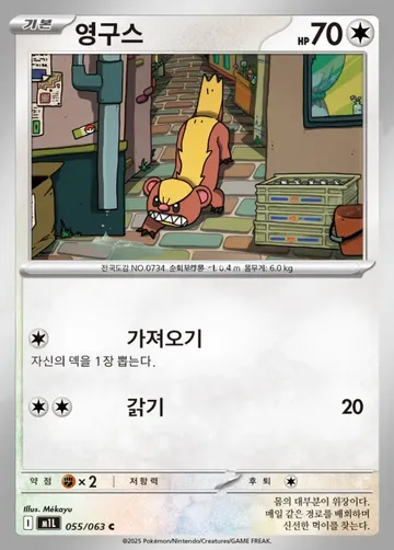 영구스 55 $0.37