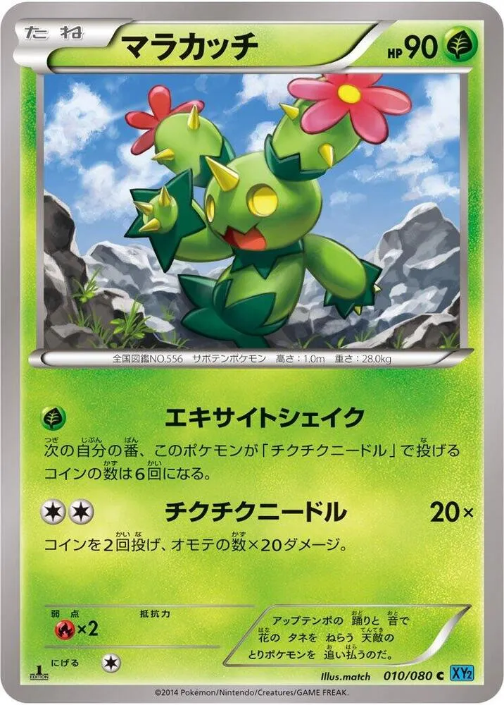Front of Maractus 10, ワイルドブレイズ Japanese