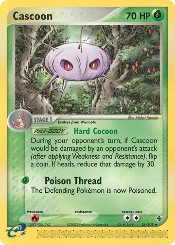 Cascoon 26 ₩4,142
