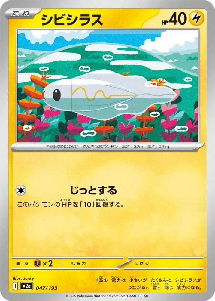 Front of Tynamo 47, MEGAドリームex Japanese