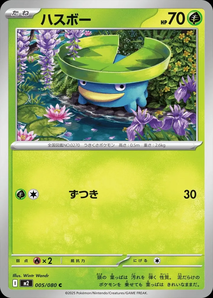 Front of Lotad 5, インフェルノX Japanese