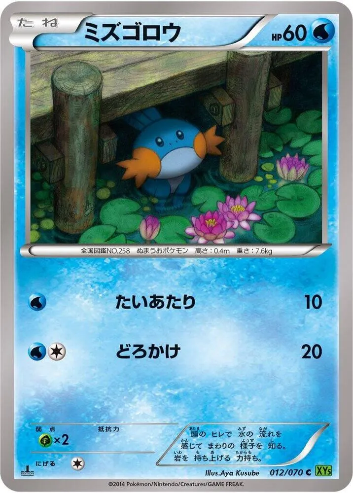 Front of Mudkip 12, タイダルストーム Japanese
