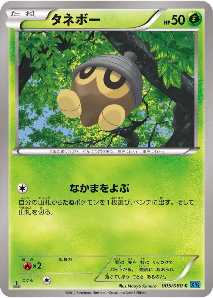 Front of Seedot 5, ワイルドブレイズ Japanese