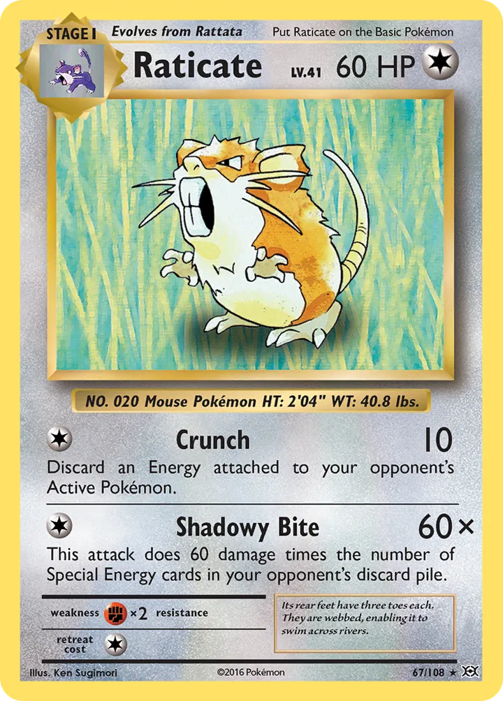 XY—Evolutions 영어판 Raticate 67 카드 앞면