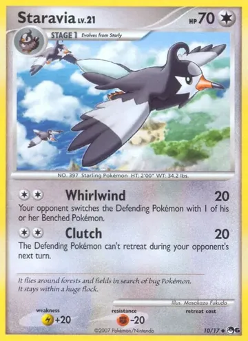 Staravia 10 ¥4,328