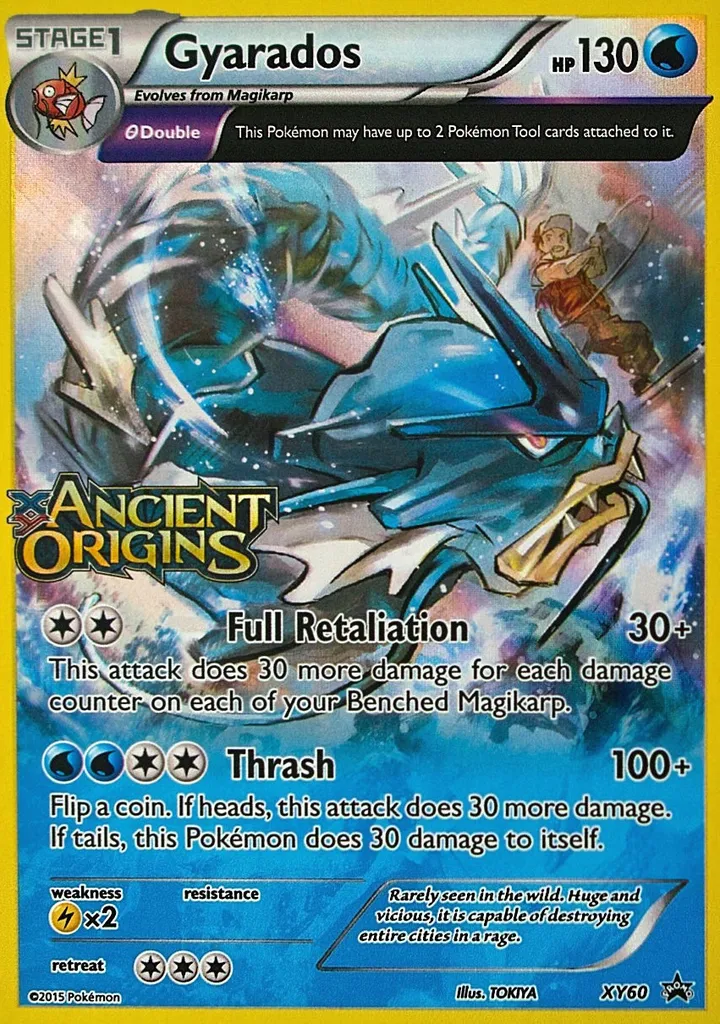 XY Black Star Promos 영어판 Gyarados XY60 카드 앞면