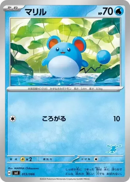 Front of Marill 13, バトルアカデミー/いつでもどこでも バトルアカデミー(ニャオハex・ピカチュウex・ルカリオex 他) Japanese