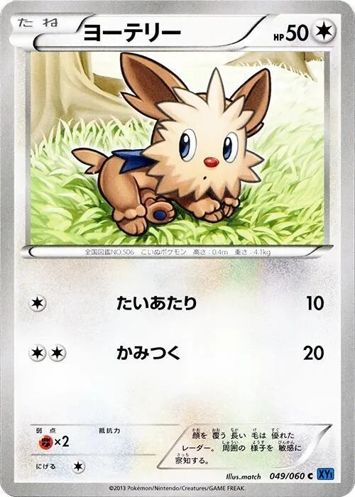 Front of Lillipup 49, コレクションX Japanese