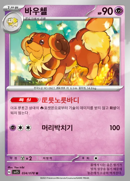 Front of 바우첼 34, 스칼렛 ex Korean