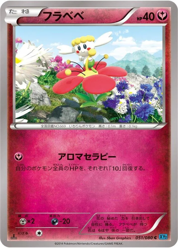 Front of Flabebe 51, ワイルドブレイズ Japanese