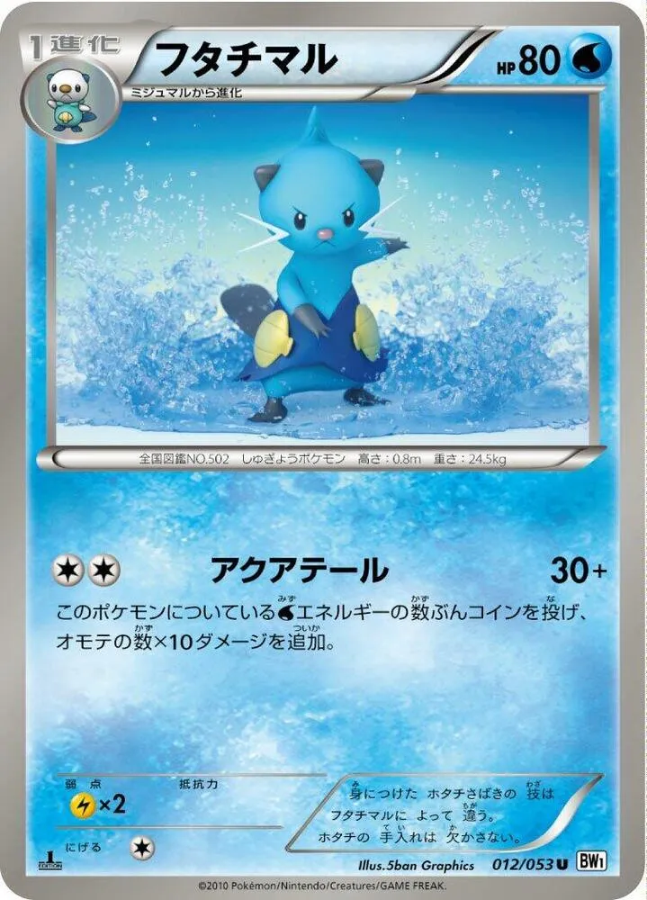 Front of Dewott 12, ホワイトコレクション Japanese