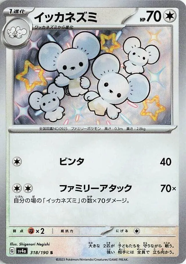 Front of Maushold 318, シャイニートレジャーex Japanese