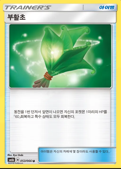 챔피언로드 韓国語版 부활초 53 カード表面