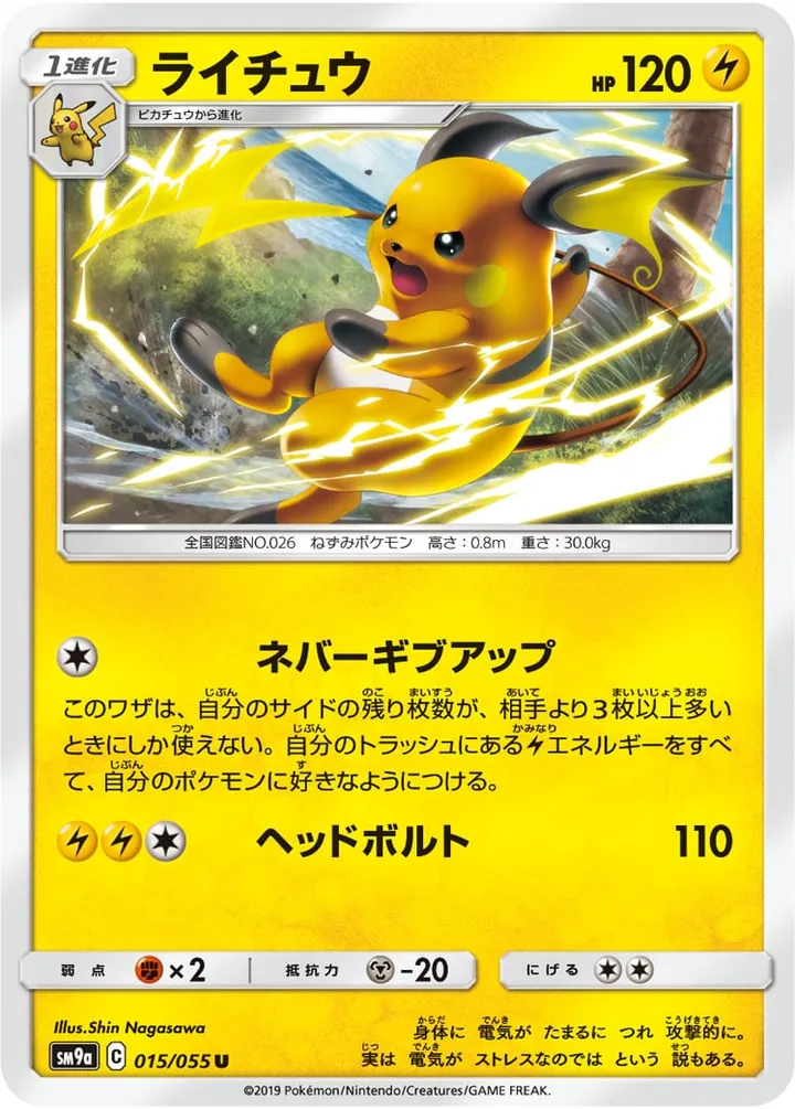 Front of Raichu 15, ナイトユニゾン Japanese