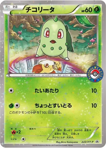 チコリータ 222 ₩93,819