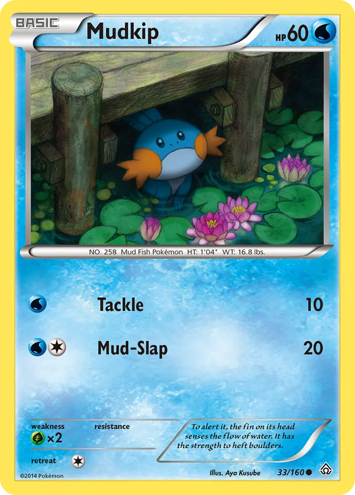 XY—Primal Clash 英語版 Mudkip 33 カード表面
