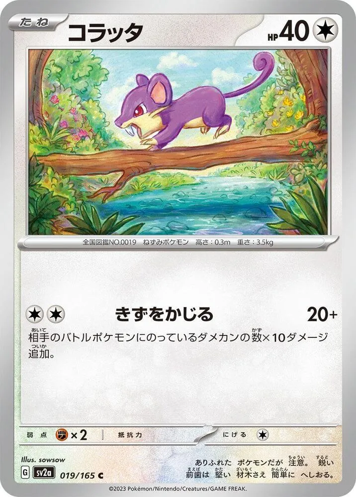 ポケモンカード151 일본판 コラッタ 19 카드 앞면