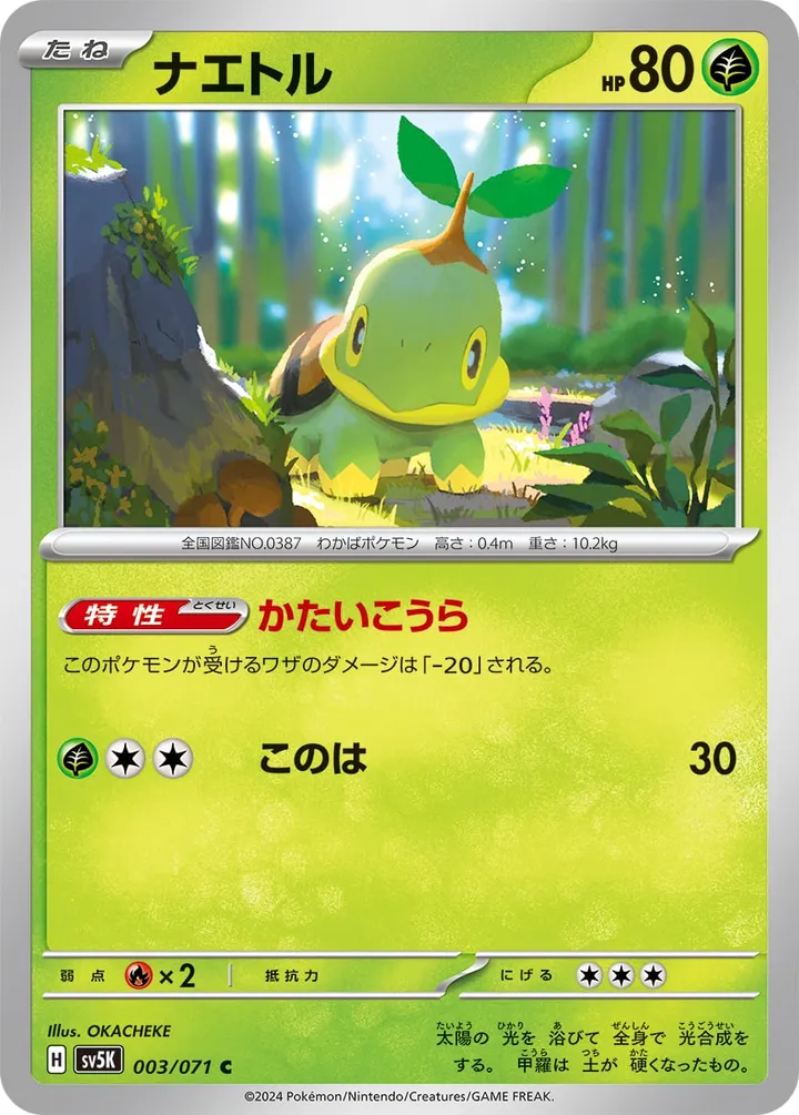 Front of Turtwig 3, ワイルドフォース Japanese